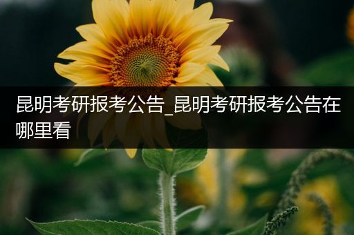 昆明考研报考公告_昆明考研报考公告在哪里看