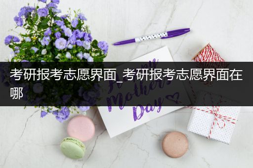 考研报考志愿界面_考研报考志愿界面在哪