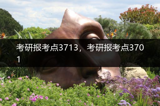 考研报考点3713，考研报考点3701