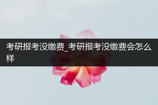 考研报考没缴费_考研报考没缴费会怎么样