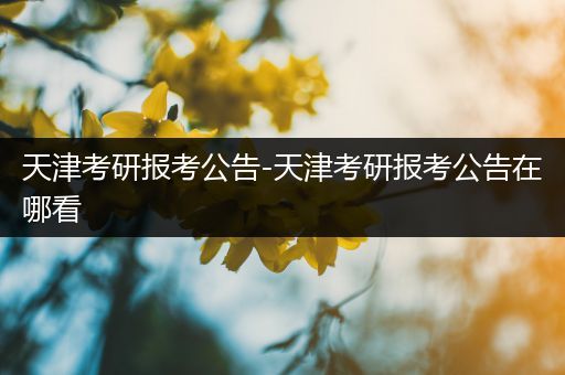 天津考研报考公告-天津考研报考公告在哪看