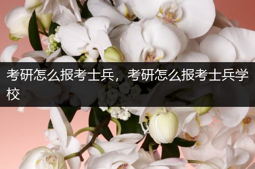 考研怎么报考士兵，考研怎么报考士兵学校