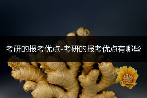 考研的报考优点-考研的报考优点有哪些