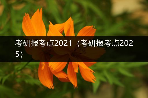 考研报考点2021（考研报考点2025）