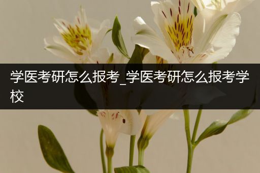 学医考研怎么报考_学医考研怎么报考学校