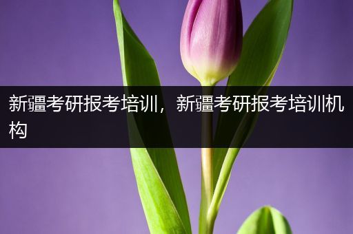 新疆考研报考培训，新疆考研报考培训机构