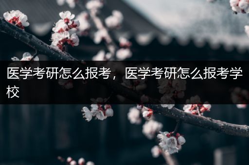 医学考研怎么报考，医学考研怎么报考学校