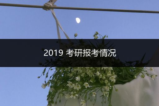 2019 考研报考情况