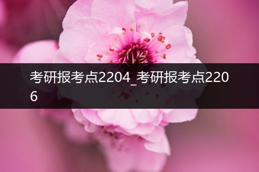 考研报考点2204_考研报考点2206