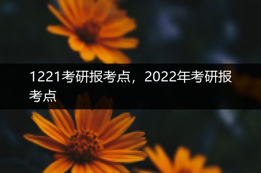 1221考研报考点，2022年考研报考点