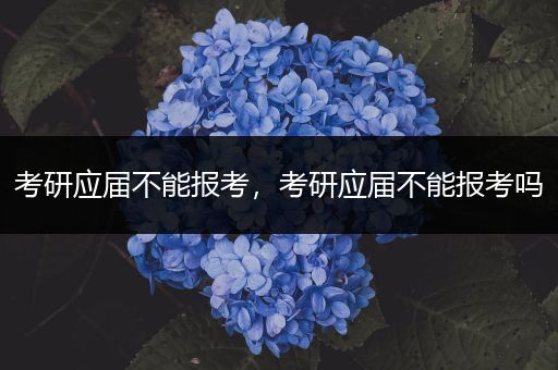 考研应届不能报考，考研应届不能报考吗