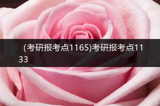 （考研报考点1165)考研报考点1133