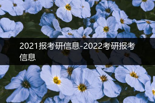 2021报考研信息-2022考研报考信息