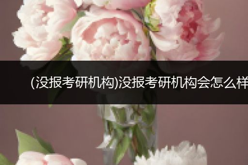 （没报考研机构)没报考研机构会怎么样