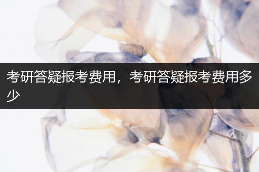 考研答疑报考费用，考研答疑报考费用多少