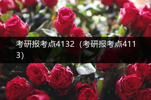 考研报考点4132（考研报考点4113）