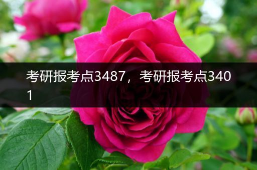 考研报考点3487，考研报考点3401