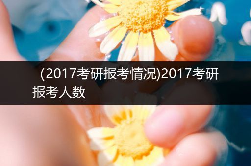 （2017考研报考情况)2017考研报考人数