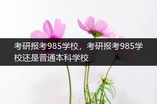 考研报考985学校，考研报考985学校还是普通本科学校