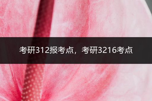 考研312报考点，考研3216考点