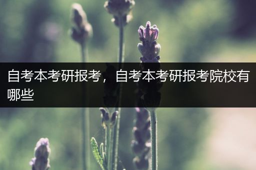 自考本考研报考，自考本考研报考院校有哪些