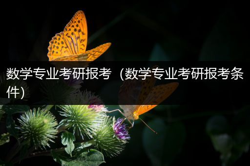 数学专业考研报考（数学专业考研报考条件）