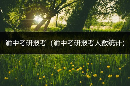 渝中考研报考（渝中考研报考人数统计）