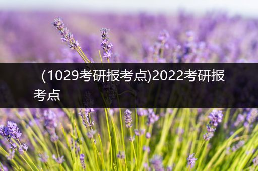 （1029考研报考点)2022考研报考点