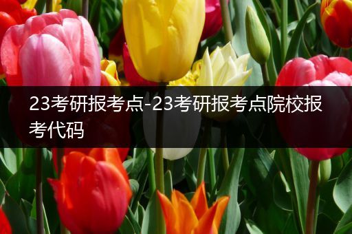 23考研报考点-23考研报考点院校报考代码