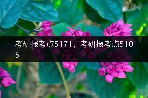 考研报考点5171，考研报考点5105