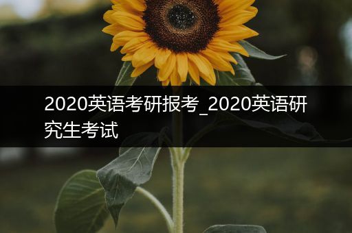 2020英语考研报考_2020英语研究生考试