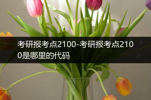 考研报考点2100-考研报考点2100是哪里的代码