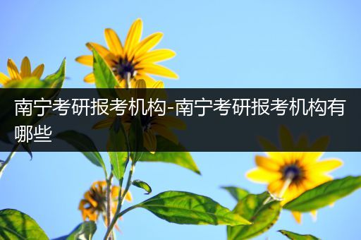 南宁考研报考机构-南宁考研报考机构有哪些