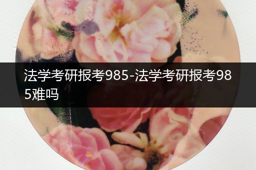 法学考研报考985-法学考研报考985难吗