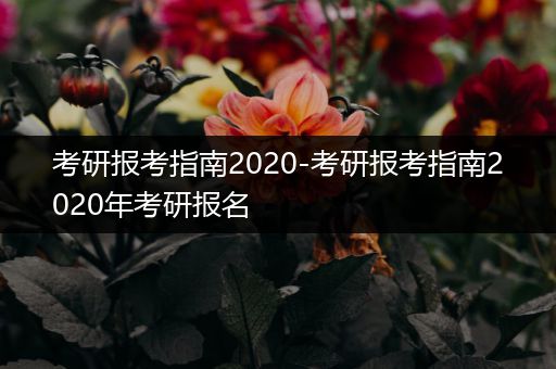 考研报考指南2020-考研报考指南2020年考研报名