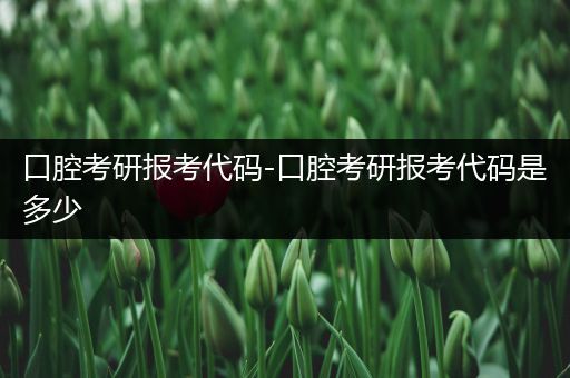 口腔考研报考代码-口腔考研报考代码是多少