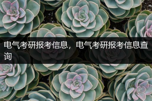 电气考研报考信息，电气考研报考信息查询