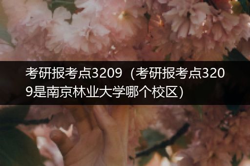 考研报考点3209（考研报考点3209是南京林业大学哪个校区）