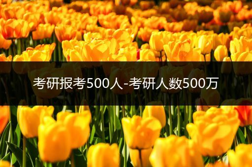 考研报考500人-考研人数500万