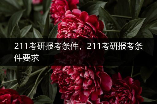 211考研报考条件，211考研报考条件要求