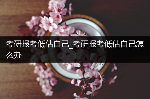 考研报考低估自己_考研报考低估自己怎么办