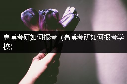 高博考研如何报考（高博考研如何报考学校）