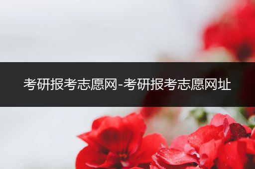 考研报考志愿网-考研报考志愿网址