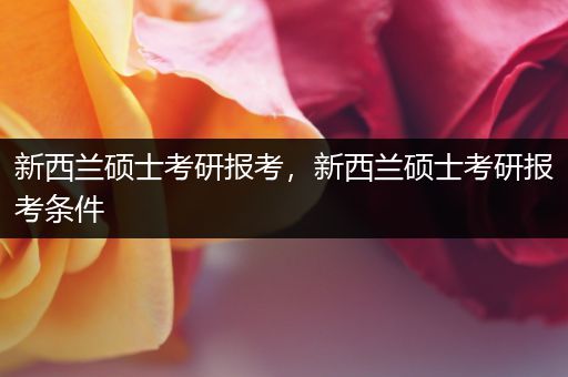 新西兰硕士考研报考，新西兰硕士考研报考条件