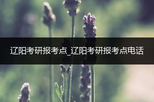 辽阳考研报考点_辽阳考研报考点电话