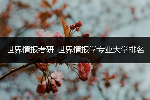 世界情报考研_世界情报学专业大学排名