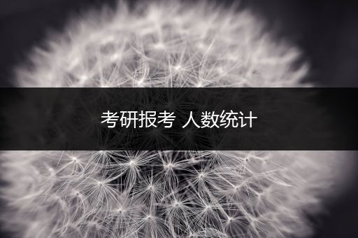 考研报考 人数统计