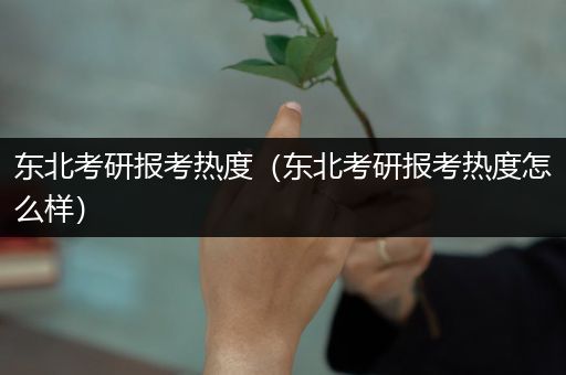 东北考研报考热度（东北考研报考热度怎么样）