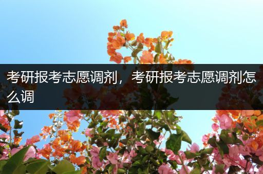 考研报考志愿调剂，考研报考志愿调剂怎么调