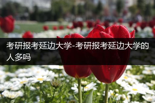 考研报考延边大学-考研报考延边大学的人多吗